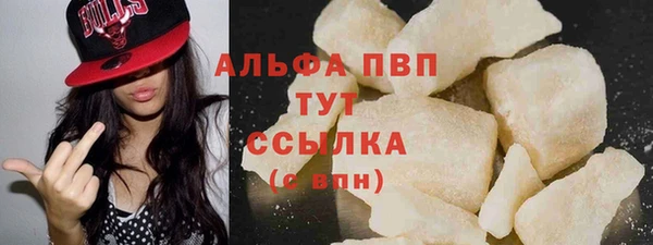 прущие грибы Киреевск