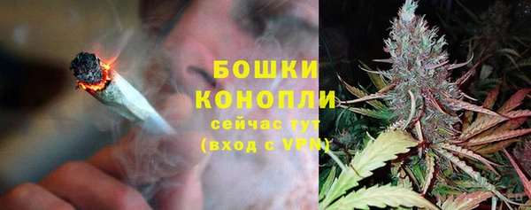 прущие грибы Киреевск