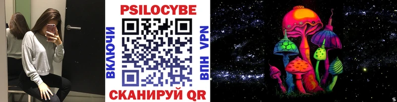 Купить  Кашин  Псилоцибиновые грибы Magic Shrooms 
